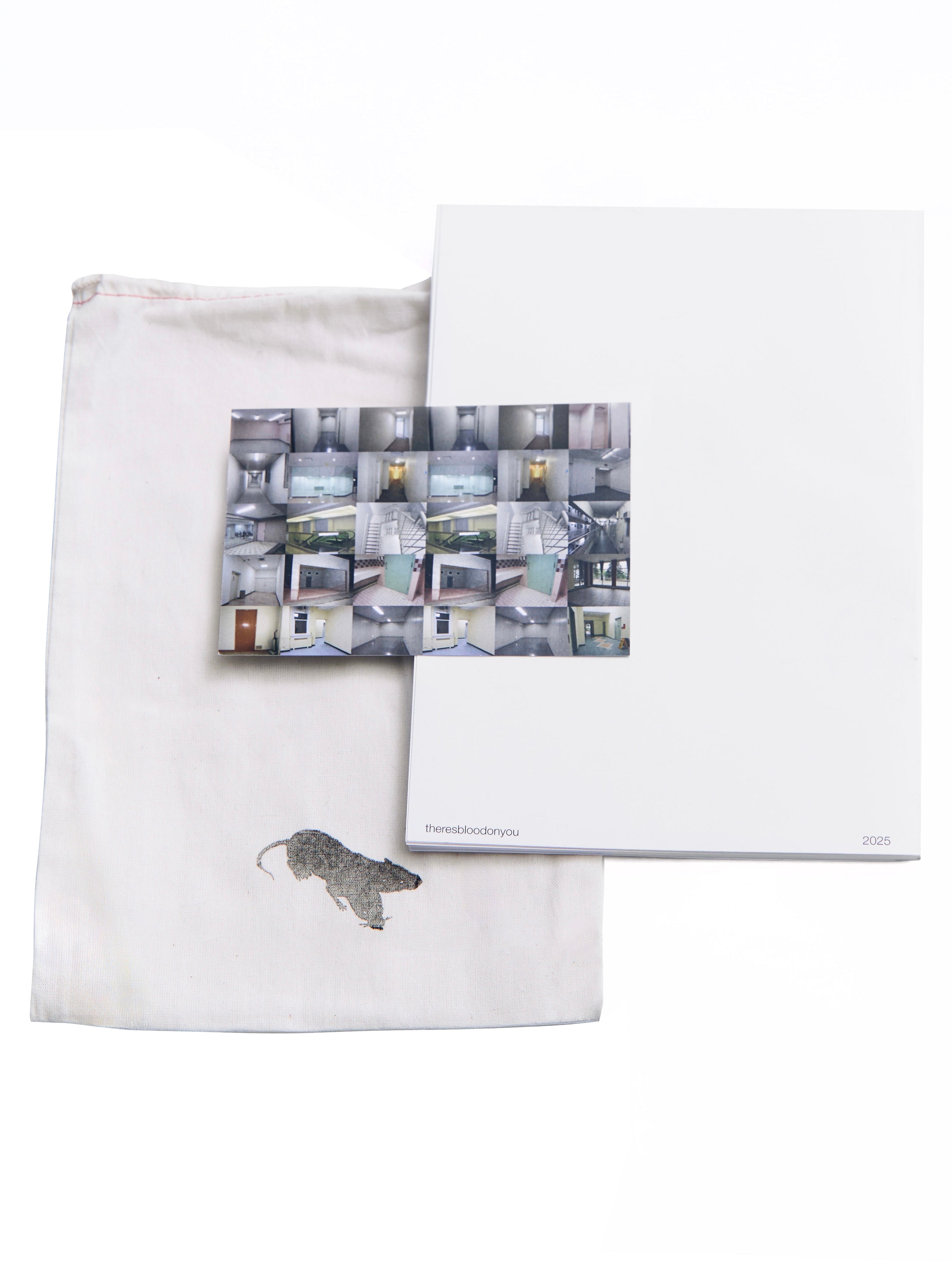 Theresbloodonyou 1st Edition PhotoBook